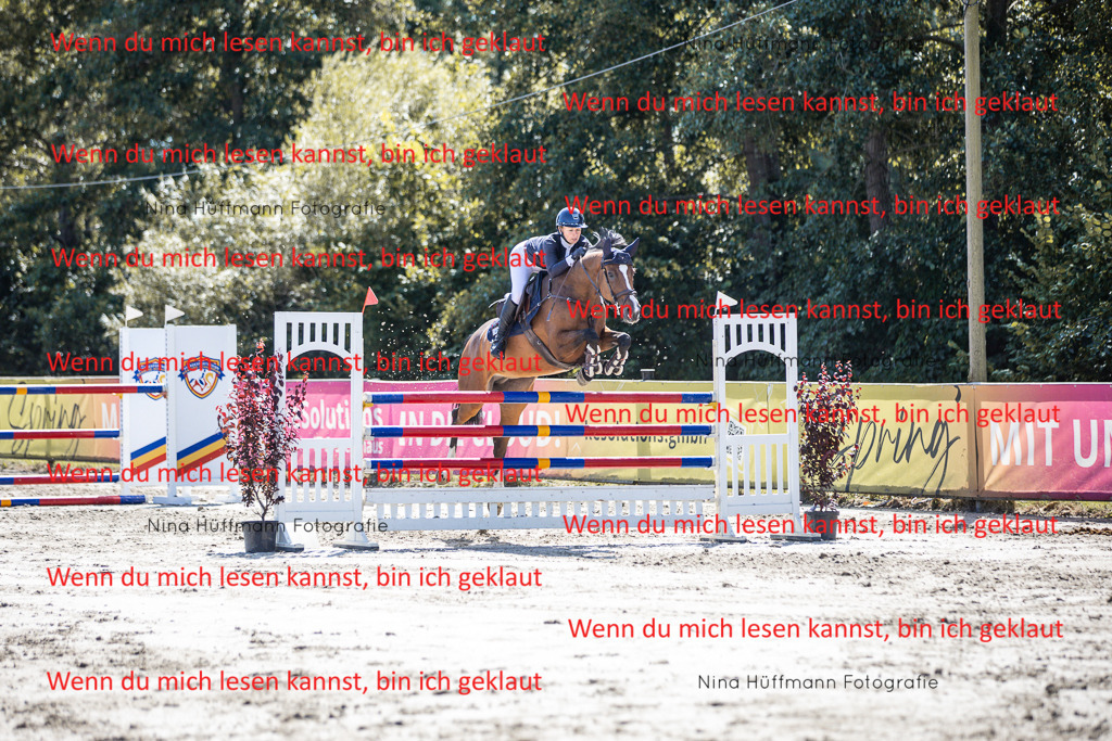 BK1A6409 | Turnierbilder Turnierfotos Nina Hüffmann Turnierfotografie Pferdefotografie Tierzeichnung Haustierzeichnung Pferdezeichnung Hundezeichnung Videograf  - Realisiert mit Pictrs.com