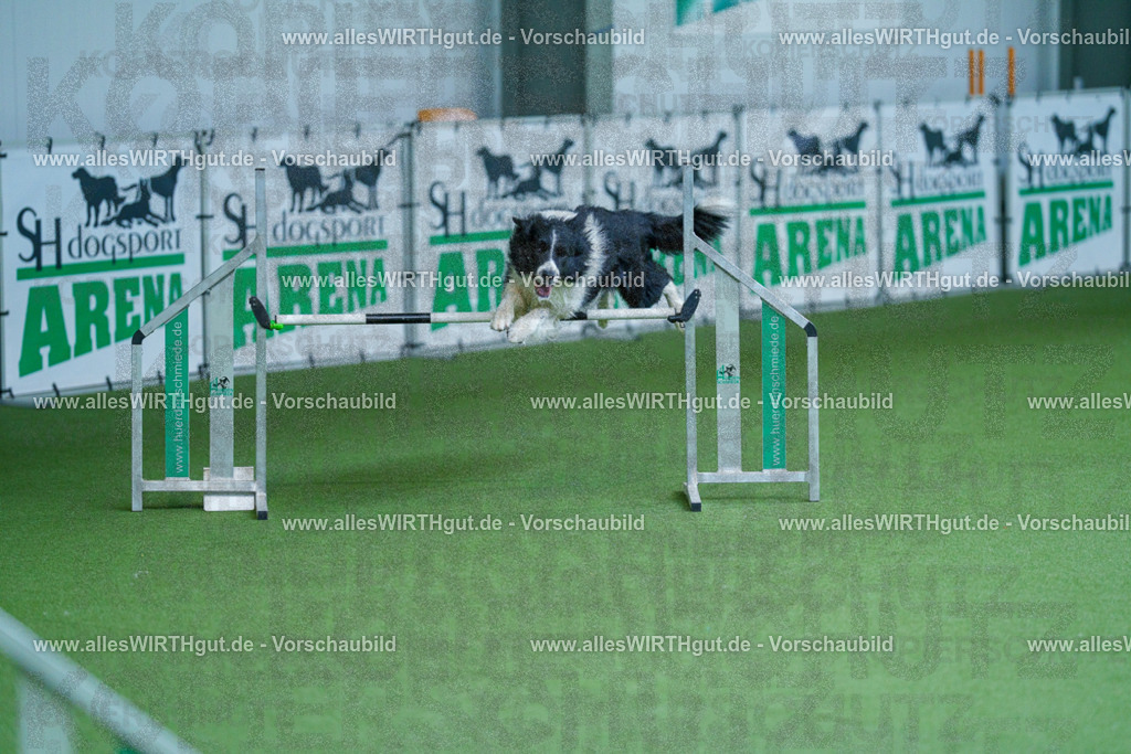 @allesWIRTHgut_Tierfotografie - www.allesWIRTHgut.de - 2604261408-7R503515 | Professionelle Tierfotografie in Mönchengladbach von Daniel Wirth (allesWIRTHgut). Liebevolle & natürliche Bilder von Hunden & Katzen für unvergessliche Erinnerungen.