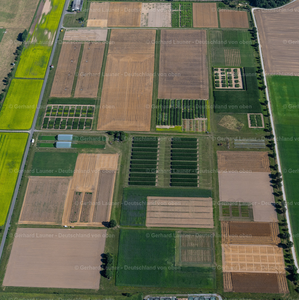 4035125 | BRAUNSCHWEIG 31.07.2020 Strukturen auf landwirtschaftlichen Versuchsfeldern und Testreihen des "Johann Heinrich von Thünen-Institut" im Ortsteil Lehndorf-Watenbüttel in Braunschweig im Bundesland Niedersachsen, Deutschland. Weiterführende Informationen bei: Thünen-Institut, Bundesforschungsinstitut für Ländliche Räume, Wald und Fischerei. // Structures on agricultural test fields and test series des "Johann Heinrich von Thuenen-Institut" in the district Lehndorf-Watenbuettel in Brunswick in the state Lower Saxony, Germany. Further information at: Thuenen-Institut, Bundesforschungsinstitut fuer Laendliche Raeume, Wald und Fischerei. Foto: Gerhard Launer