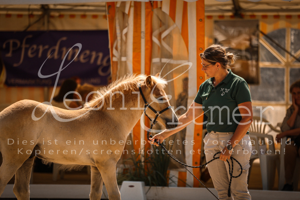 06.DoH00077 | Leoni Ertmer Photography - Realisiert mit Pictrs.com