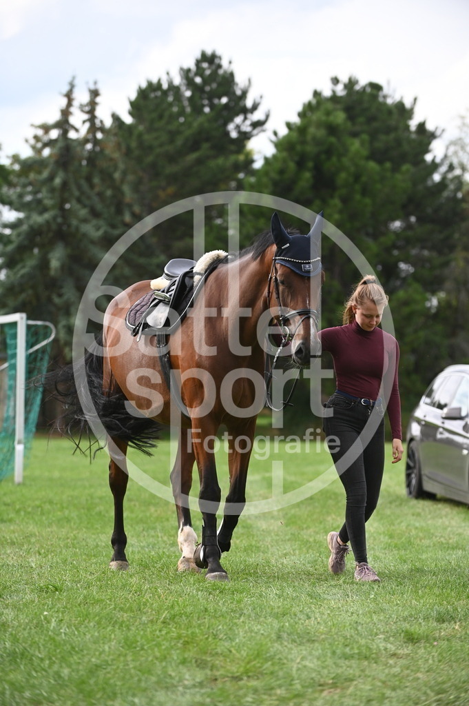 DSC_3643 | sattelsport - Realisiert mit Pictrs.com