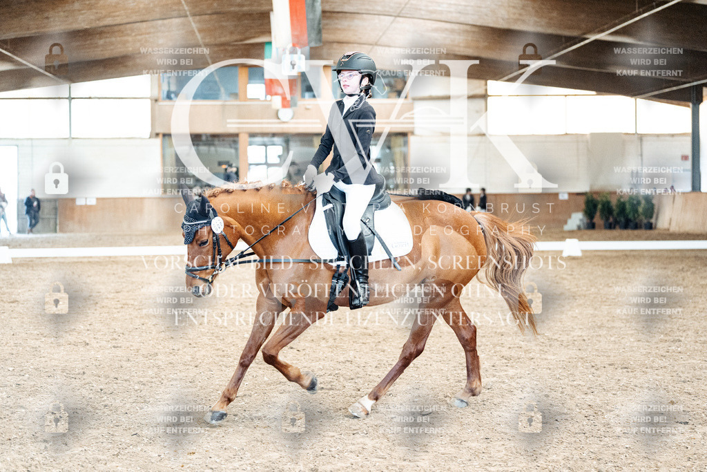 CK900233 | Turnierfotografie Pferdefotografie Trier Rheinland-Pfalz Pferdesport Reitsport Tierfotografie Sportfotografie Pferdevideo Pferdevideografie Equestrianvideography equestrianphotography  - Realisiert mit Pictrs.com