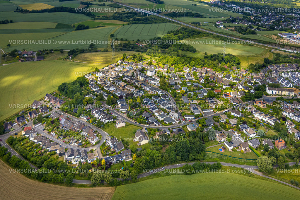 Velbert250601142 | Luftbild, Wohngebiet Wohnsiedlung mit Pflanzennamen Straßen wie Diestelbusch und Holunderbusch, Velbert, Ruhrgebiet, Nordrhein-Westfalen, Deutschland