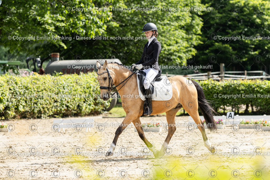 CL5A7698 | Emilia Reinking Fotografie - Realisiert mit Pictrs.com