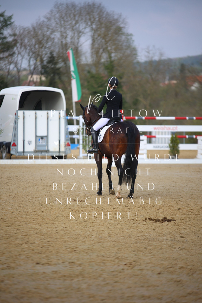 IMGT8733 | pl-fotografie