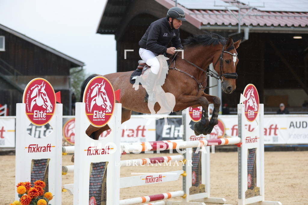 0P6A6779 | Willkommen bei Brunnmayr - Design & Fotografie – Ihrem Spezialisten für Reitturniere und Pferdeveranstaltungen in Oberösterreich, Salzburg und Bayern! Seit über 17 Jahren sind wir leidenschaftlich dabei.