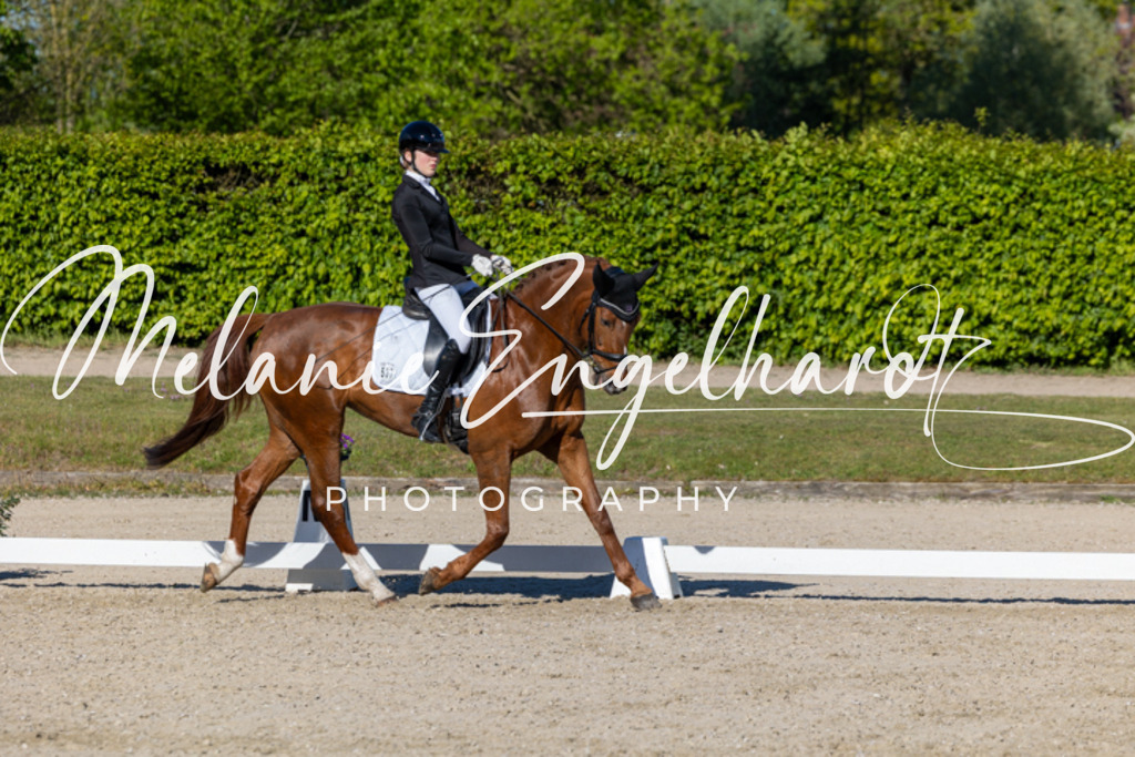 7I8A8810 | melanie-engelhardt-photography - Realisiert mit Pictrs.com