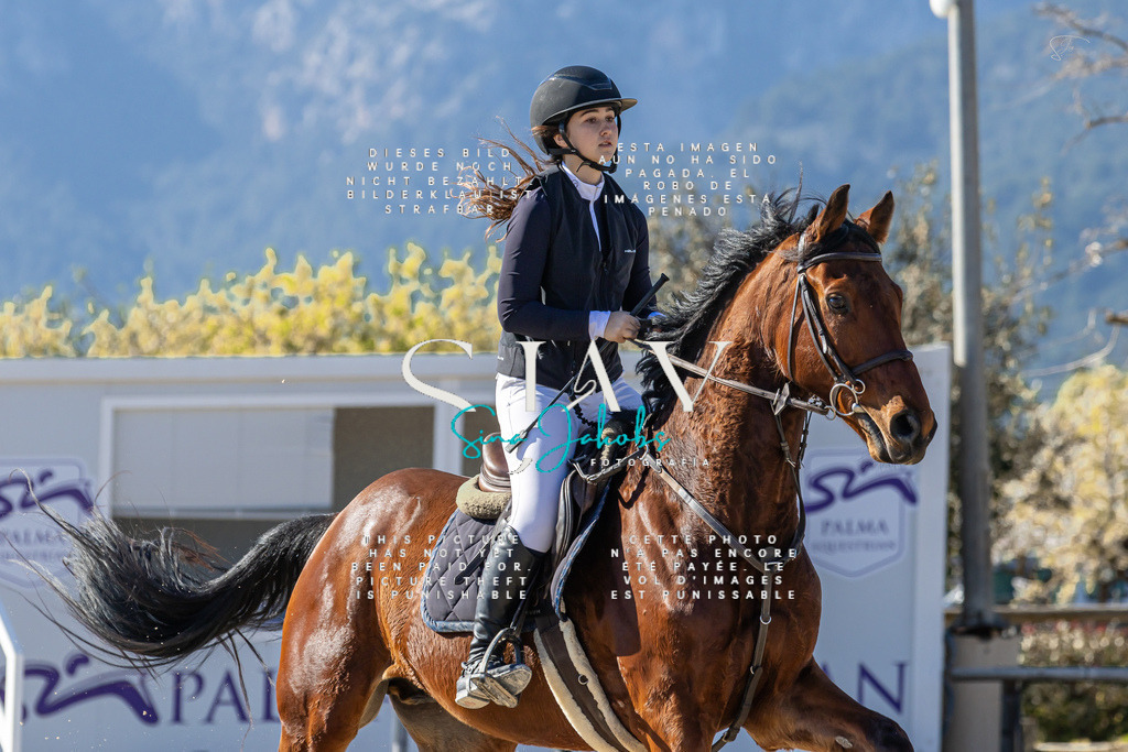 IMG_1297 | s-jay-photography - Realisiert mit Pictrs.com