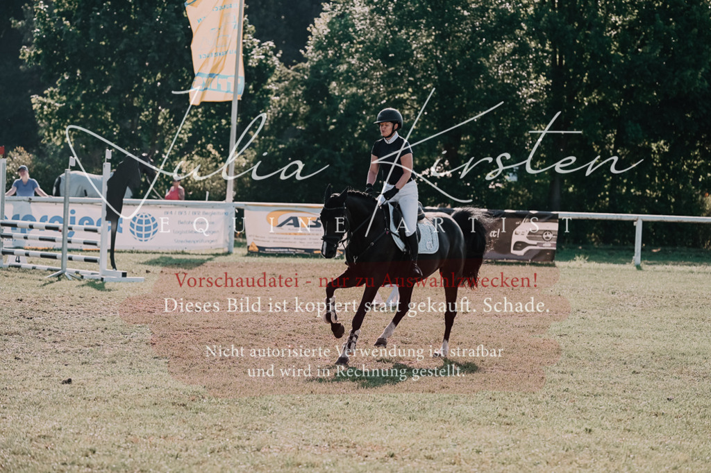 DSC_4717 | Pferde- und Turnierfotografie in Westsachsen. Pferdeportraits, Auftragszeichnungen und intuitive Kunst.