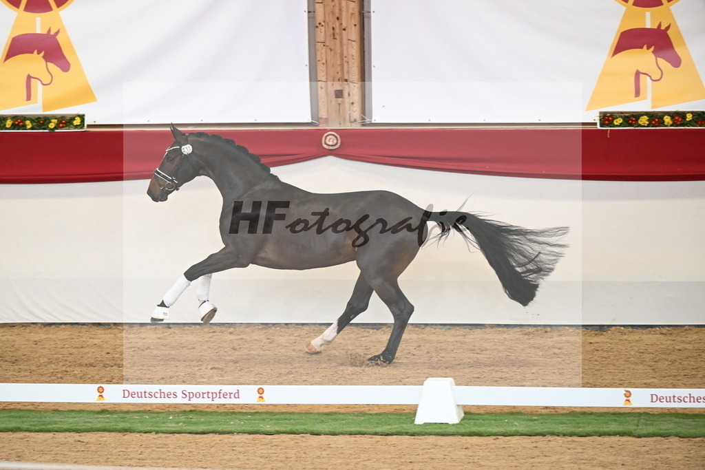 Kat.-Nr. 63 v. Foundation_Schafhof _ Jäckel_2250442 | hf-fotografie - Realisiert mit Pictrs.com