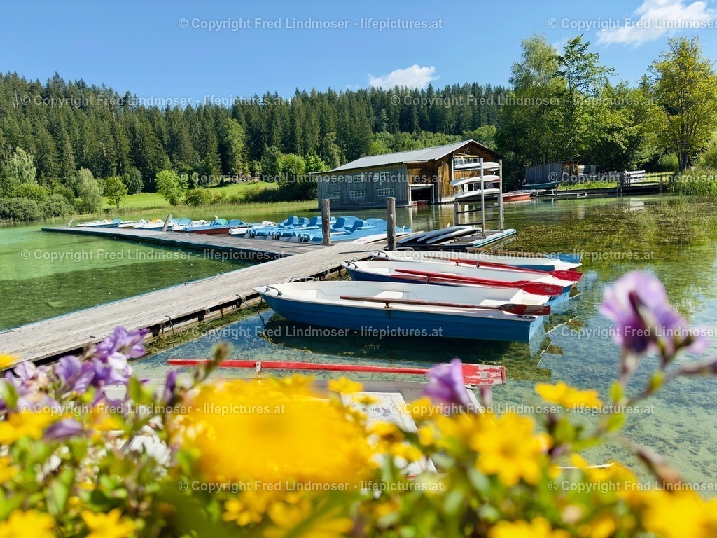 Erlaufsee_IMG_7526 | Fotos und Fotoprodukte - Realisiert mit Pictrs.com