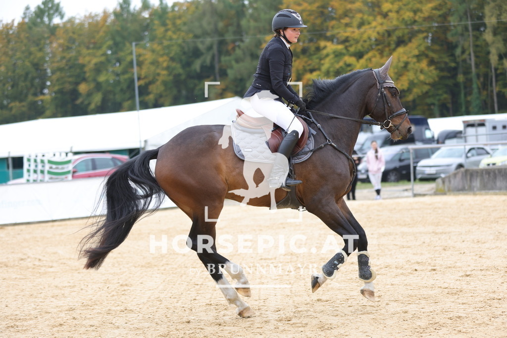 0P6A2311 | Willkommen bei Brunnmayr - Design & Fotografie – Ihrem Spezialisten für Reitturniere und Pferdeveranstaltungen in Oberösterreich, Salzburg und Bayern! Seit über 17 Jahren sind wir leidenschaftlich dabei.