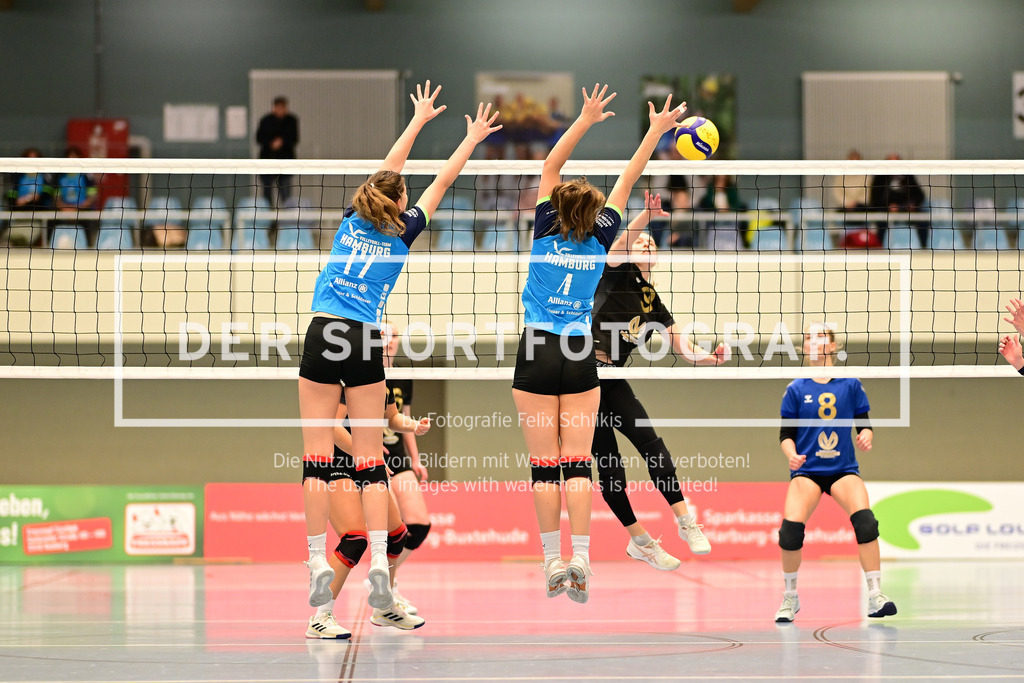Volleyball I Frauen I Saison 2024-2025 I Regionalliga Nord I VT Hamburg - Wiker SV I 114799 | Der Sportfotograf. - Realisiert mit Pictrs.com