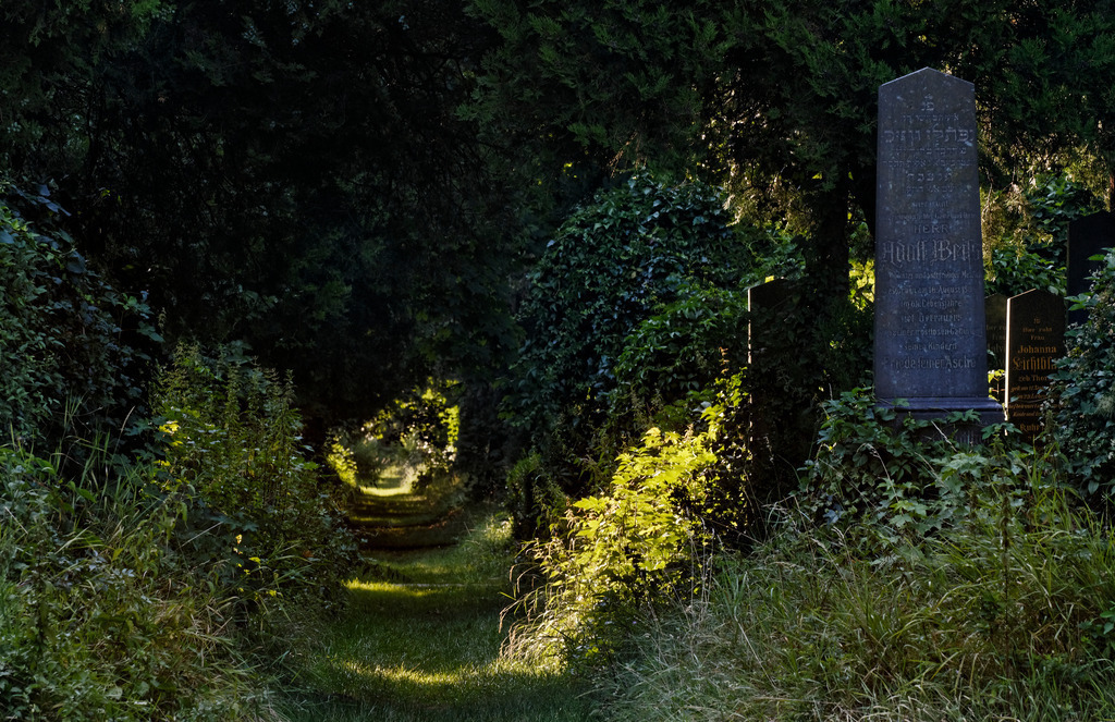 Grabsteine | Wien, Austria - July 29, 2010: Zentralfriedhof Wien; Grabsteine. - Realisiert mit Pictrs.com