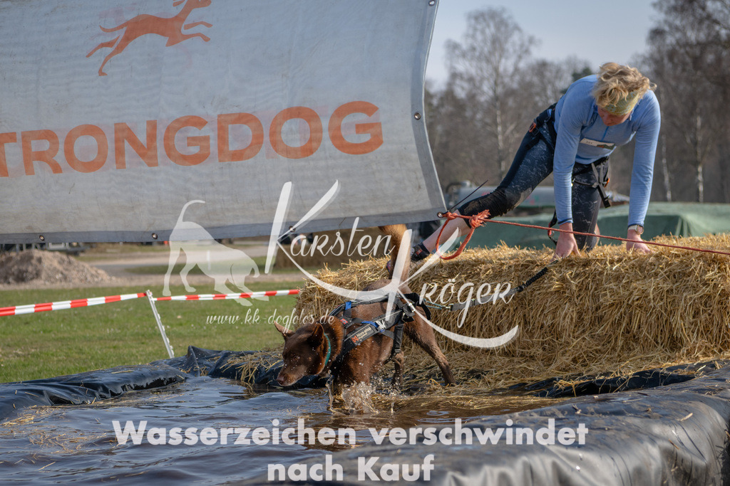 _ZZ90713 | kk-dogfotos