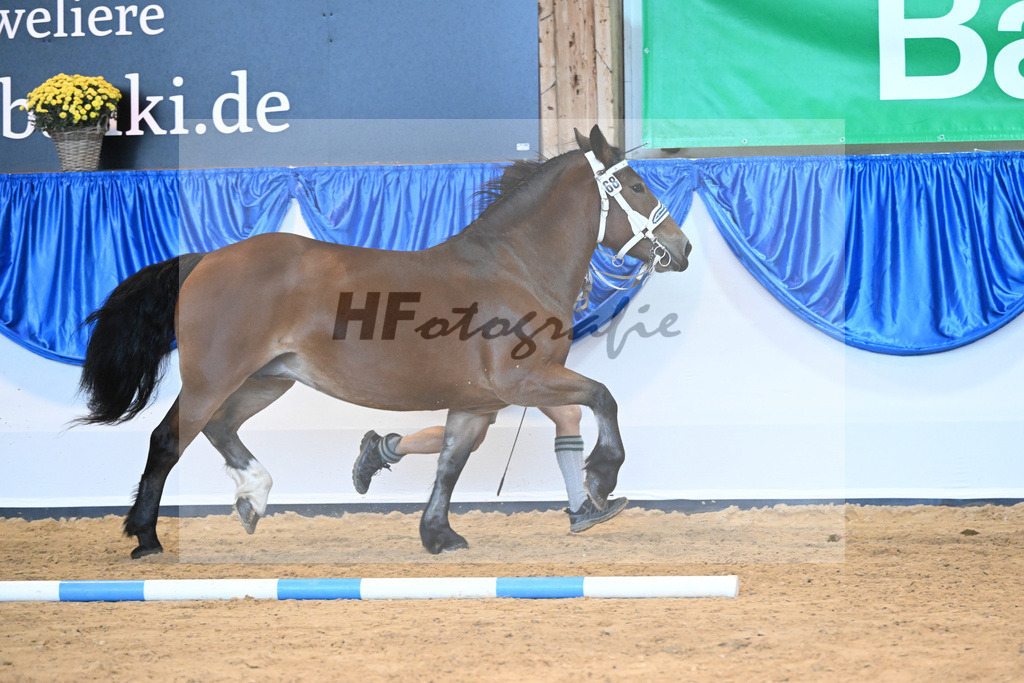 Kat-Nr. 68 Rivera_Erhart_53220266 | hf-fotografie - Realisiert mit Pictrs.com