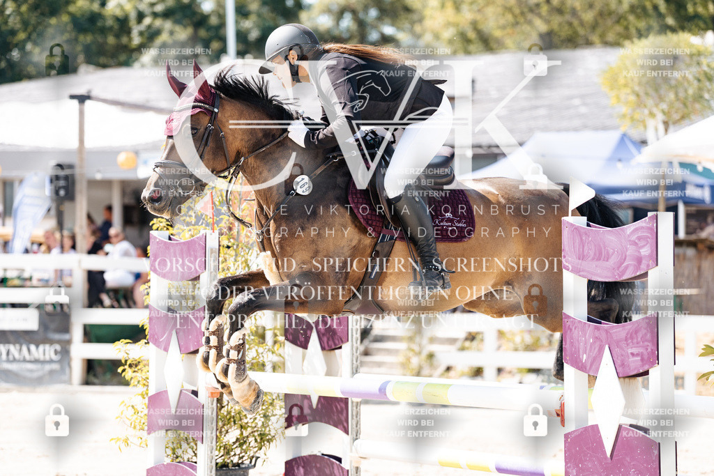 CK908903 | Turnierfotografie Pferdefotografie Trier Rheinland-Pfalz Pferdesport Reitsport Tierfotografie Sportfotografie Pferdevideo Pferdevideografie Equestrianvideography equestrianphotography  - Realisiert mit Pictrs.com
