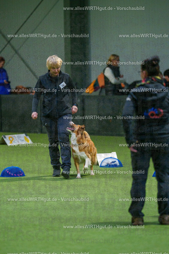 7R505475 | Professionelle Tierfotografie in Mönchengladbach von Daniel Wirth (allesWIRTHgut). Liebevolle & natürliche Bilder von Hunden & Katzen für unvergessliche Erinnerungen.