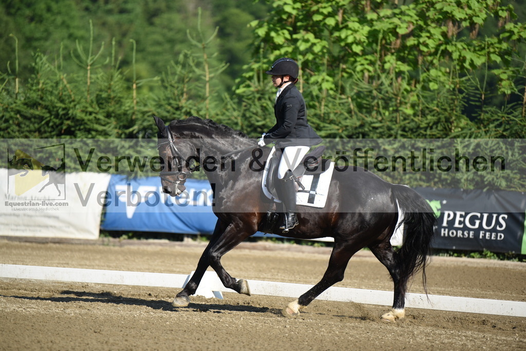 DSC_6885 | equestrian-live-com