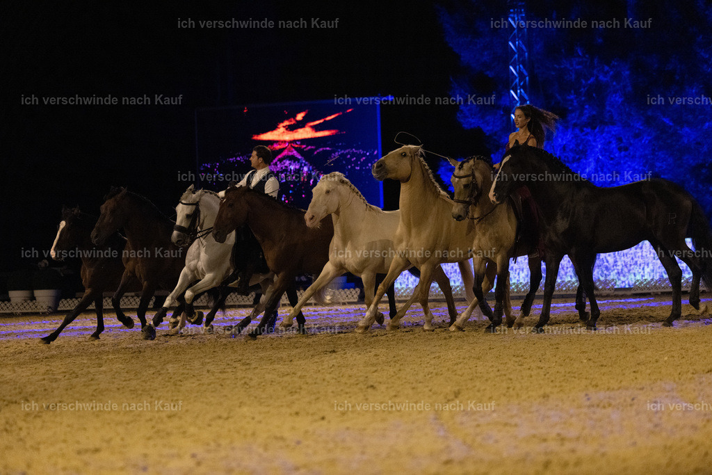 FHClassics-343 | working equitationturnier fotograf videograf stoibphotography marixx film working equitation deutschland reitsport turnierfotografie eventfotografie equestrian events