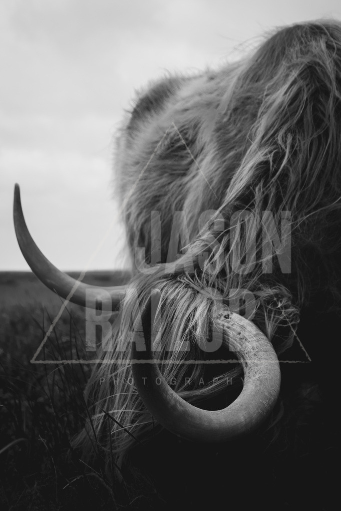 DSCF0981-3 | jasonraizor - Realisiert mit Pictrs.com