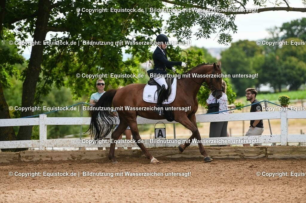 20230716_03_Dressurprfg. Kl.L - Tr._0389 | equistock