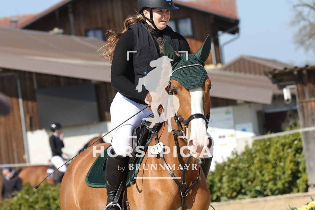 0P6A6531 | Willkommen bei Brunnmayr - Design & Fotografie – Ihrem Spezialisten für Reitturniere und Pferdeveranstaltungen in Oberösterreich, Salzburg und Bayern! Seit über 17 Jahren sind wir leidenschaftlich dabei.