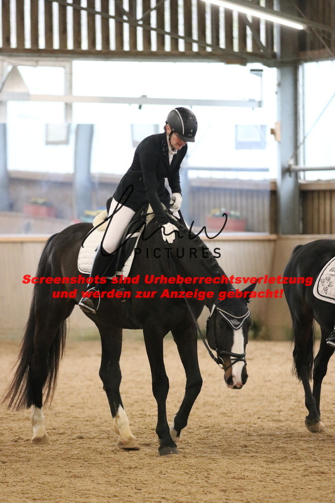 IMG_4016 | lmwpictures - Realisiert mit Pictrs.com