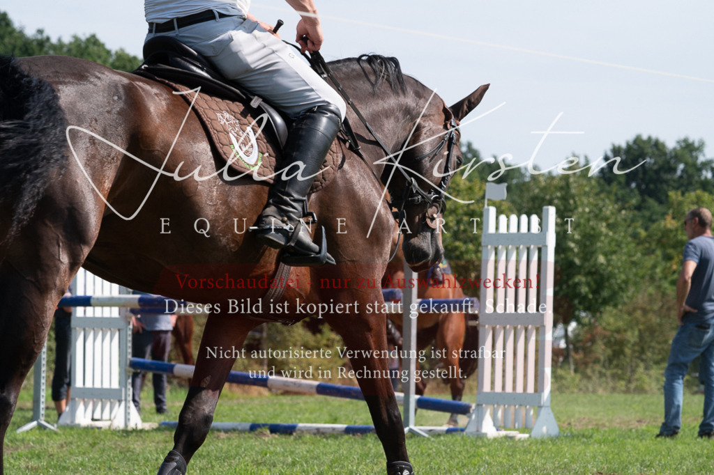 DSC_0790 | Pferde- und Turnierfotografie in Westsachsen. Pferdeportraits, Auftragszeichnungen und intuitive Kunst.