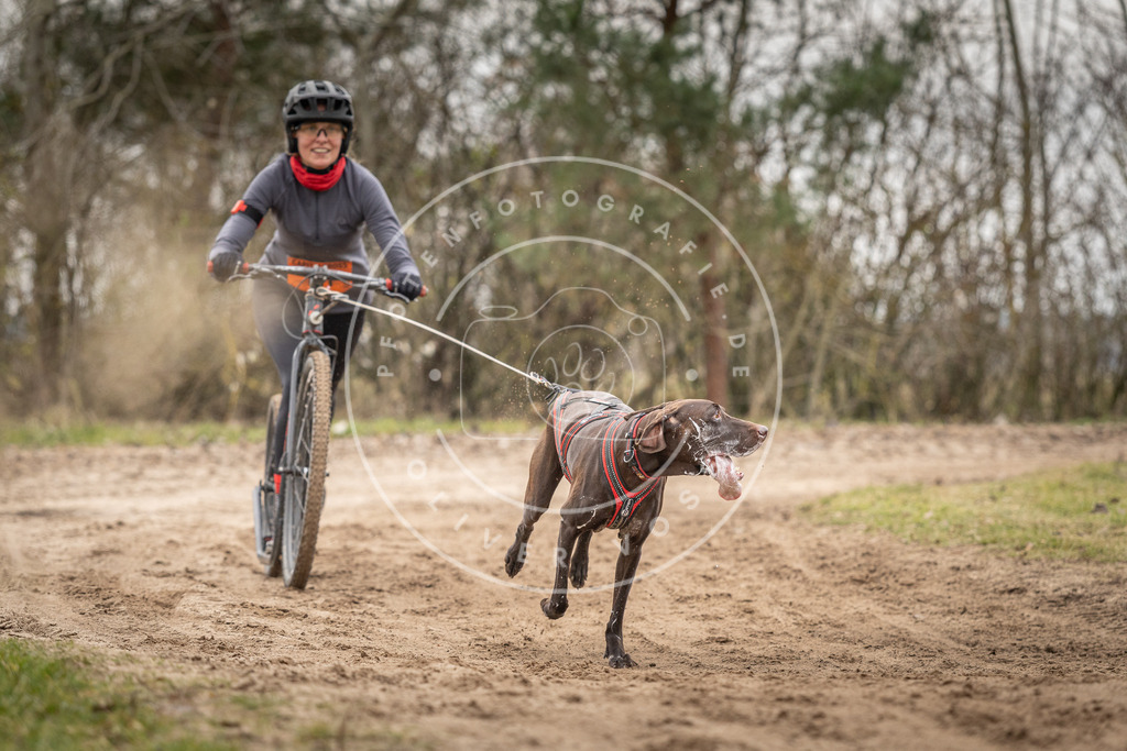 Pfotenfotografie_DV3A0074 | Hundefotografie, Tierfotograf, Pfotenfotografie, Fotoshooting Hund, Hunde Portrait, Hundesport, Hundeportraits, Heideshooting, Hunde, Sportfotograf, Hundefotograf, Turnierhundsport, THS,  - Realisiert mit Pictrs.com