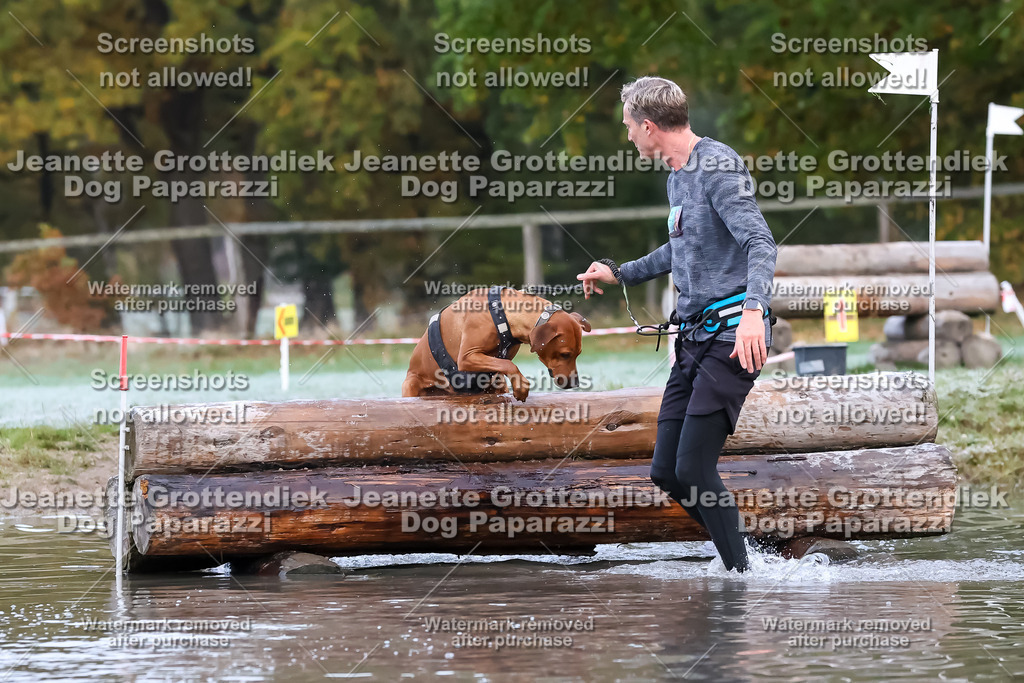 Dog Paparazzi - Strongdog 10-25-6168 | Dog Paparazzi Jeanette Grottendiek Fotografie & Videografie - Realisiert mit Pictrs.com