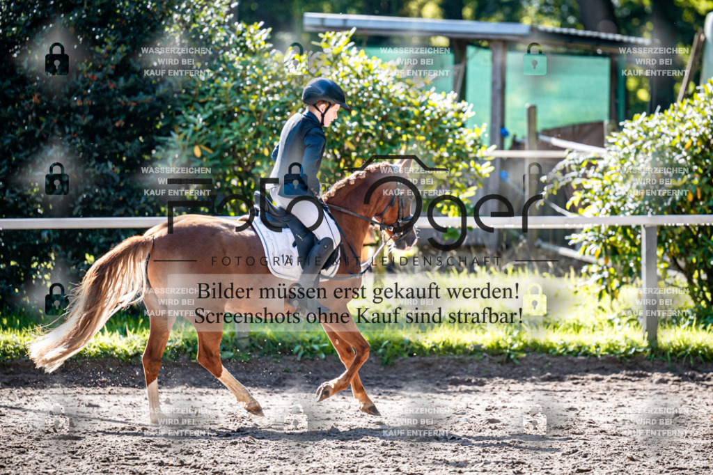 2026-10-Helle-20-4-0027 | Entdecke hochwertige Reitturnierfotos von Foto Oger. Professionell, emotional und authentisch – jetzt Lieblingsmomente im Shop bestellen.Deutschlandweite Turnierfotografie. - Realisiert mit Pictrs.com