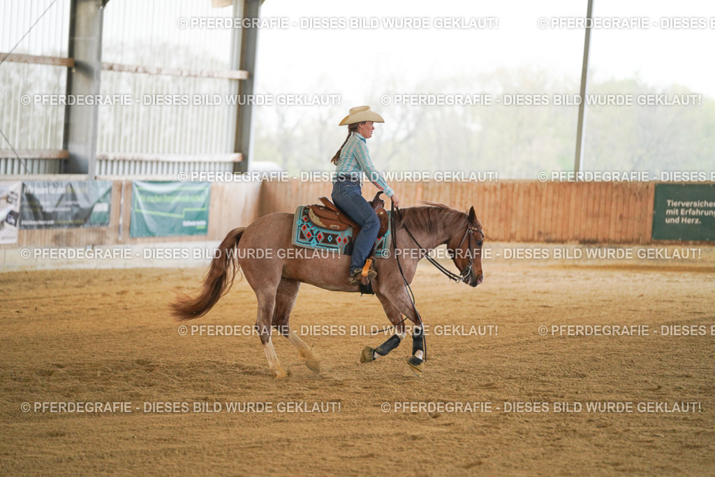 DSC08610 | Pferdegrafie