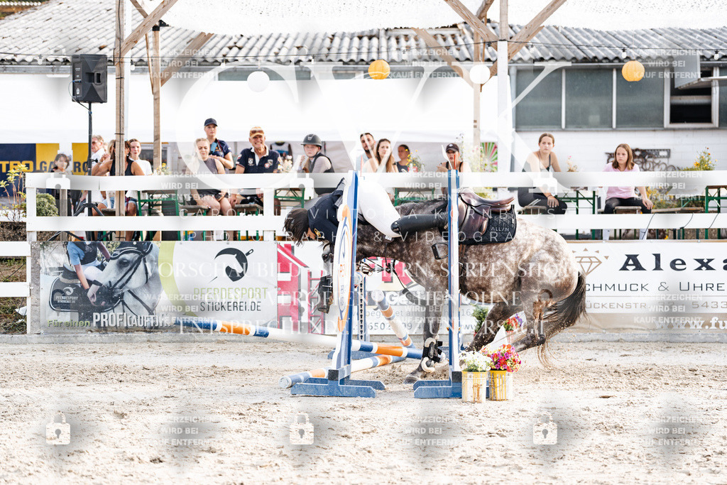 CK907030 | Turnierfotografie Pferdefotografie Trier Rheinland-Pfalz Pferdesport Reitsport Tierfotografie Sportfotografie Pferdevideo Pferdevideografie Equestrianvideography equestrianphotography  - Realisiert mit Pictrs.com
