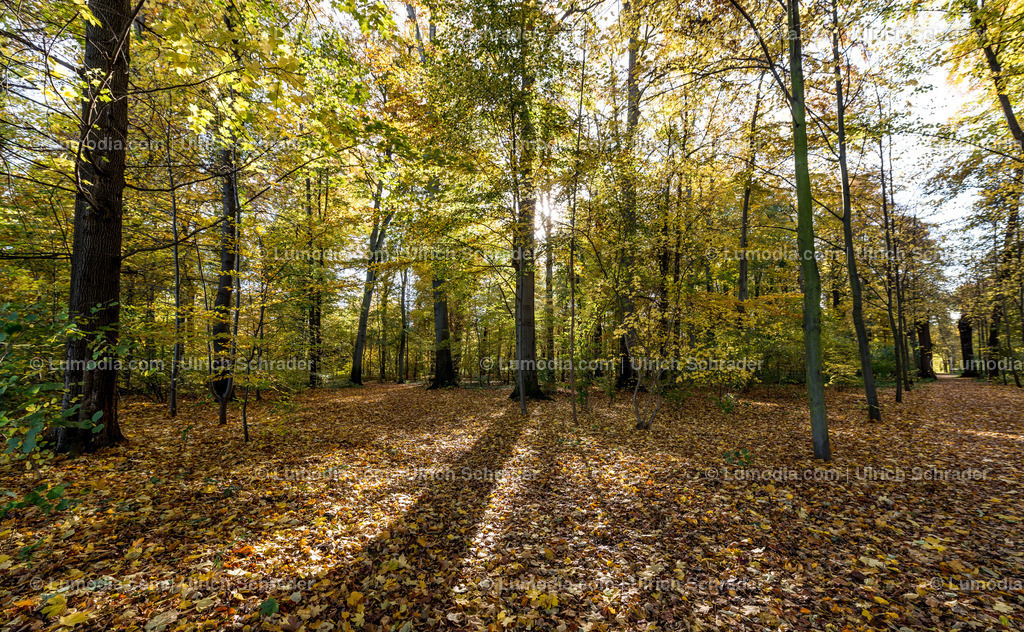 10049-5415 - Brühlpark _ Quedlinburg | Stockfoto und Bilderpool mit Bildmaterial aus Deutschland, dem Harz, Halberstadt, Quedlinburg, Wernigerode und weltweit. Qualitativ hochwertige und professionelle Fotos anschauen und kaufen. - Realisiert mit Pictrs.com