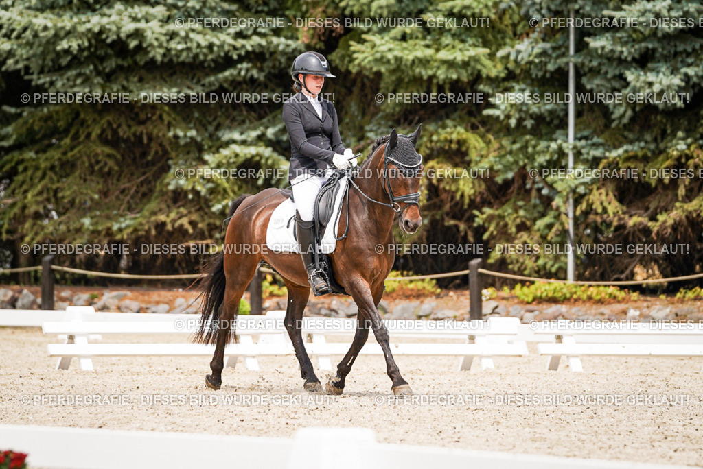 DSC04164 | Pferdegrafie