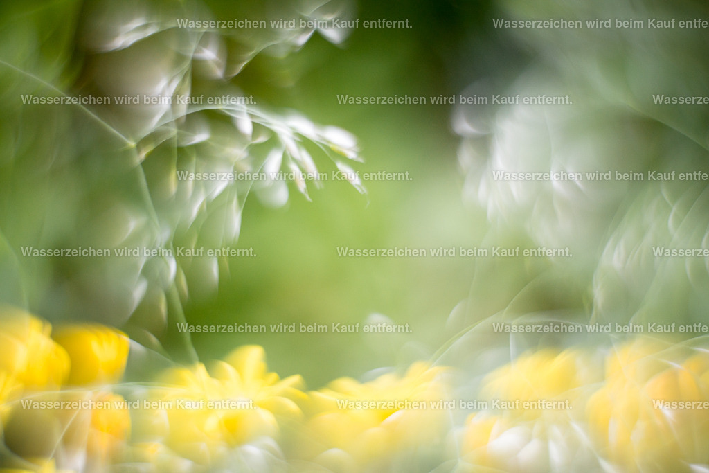 Blütenfeuerwerk | Die Botschaft zum Bild lautet: Wisse um deine Gedanken. Wisse darum, dass du ganz viele Gedanken denkst. Beobachte sie und schaue, welche dir dienen. Denn viele Gedanken sind eingefahren, viele Gedanken lassen dich nicht wachsen. Suche neue Gedanken. Lasse es zu, das Feuerwerk der neuen Gedanken.