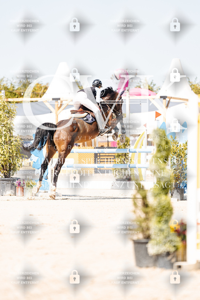 CK909451 | Turnierfotografie Pferdefotografie Trier Rheinland-Pfalz Pferdesport Reitsport Tierfotografie Sportfotografie Pferdevideo Pferdevideografie Equestrianvideography equestrianphotography  - Realisiert mit Pictrs.com