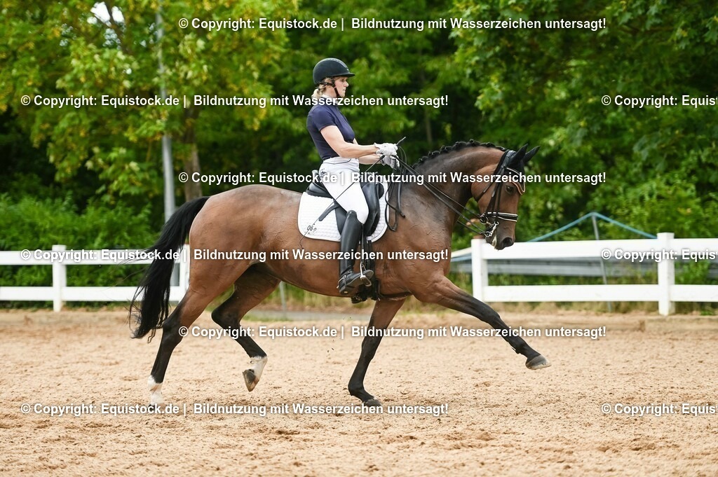 20230716_01_Dressurprüfung Kl.M_0449 | equistock