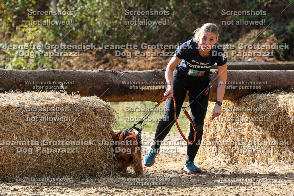 Dog Paparazzi - Strongdog 10-25-5839 | Dog Paparazzi Jeanette Grottendiek Fotografie & Videografie - Realisiert mit Pictrs.com