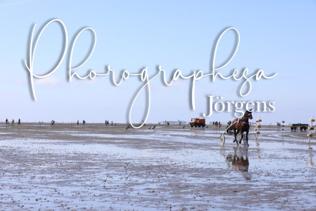 IMG_9745 | photographesa-joergens - Realisiert mit Pictrs.com