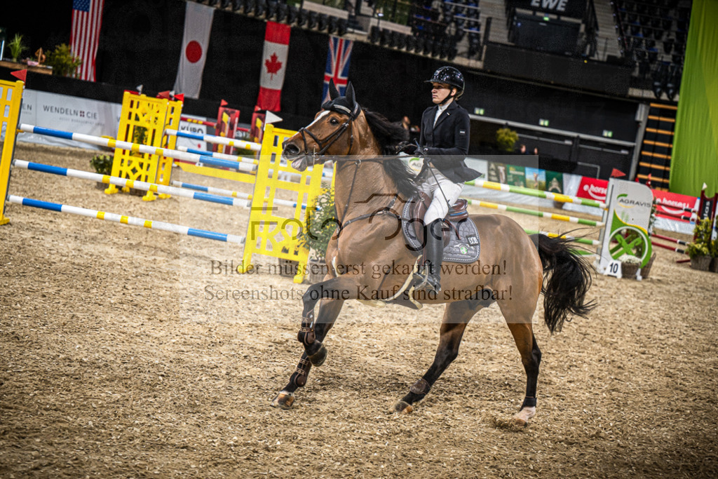 DOS_1849 | Entdecke hochwertige Reitturnierfotos von Foto Oger. Professionell, emotional und authentisch – jetzt Lieblingsmomente im Shop bestellen.Deutschlandweite Turnierfotografie. - Realisiert mit Pictrs.com