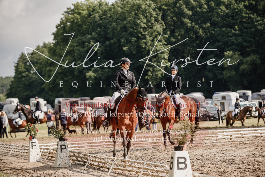DSC_9064 | Pferde- und Turnierfotografie in Westsachsen. Pferdeportraits, Auftragszeichnungen und intuitive Kunst.