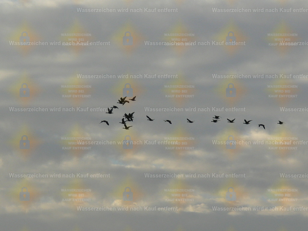 P1080477 | Fotoseite Wolkenblende - Das Hobby fotografieren begleitet mich schon  viele  Jahre. Auf den nächsten Seiten zeige ich ein paar Schnappschüsse der letzten Jahre und es kommen immer neue hinzu. Schau einfach mal rein. - Realisiert mit Pictrs.com