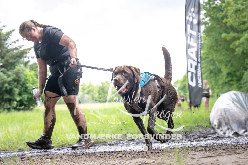 1238_ZZ92760 | kk-dogfotos