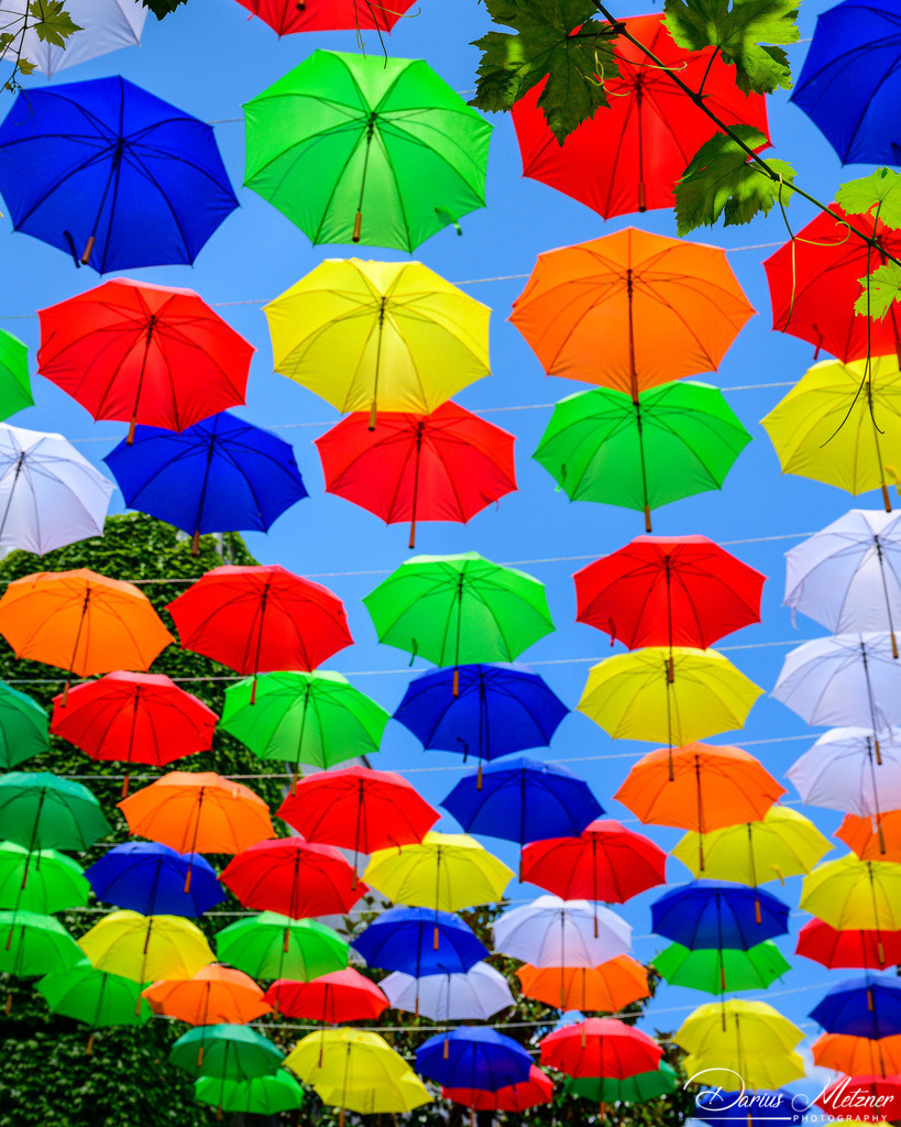 Umbrella Sky Projekt in Mainz in der Rotkopfgasse | Umbrella Sky Projekt in Mainz in der Rotkopfgasse