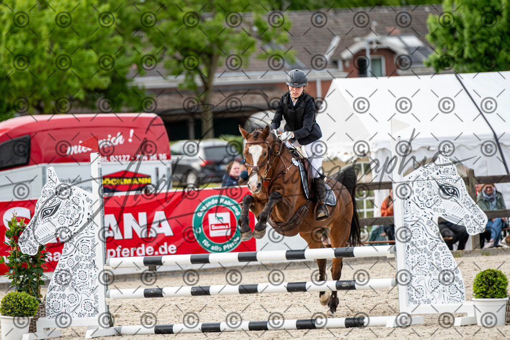 KPT_7169 | andre_photographic