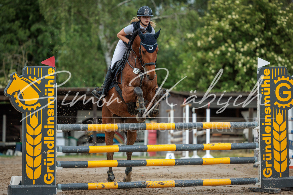 20260530-_3LI2661 | Tierfotografie Pferde, Hunde, Katzen, Haustiere.
Turnierfotografie Reitturniere, Reiten, Springreiten, Dressur in Hanau, dem Main-Kinzig-Kreis und dem Rhein-Main- Gebiet um Frankfurt