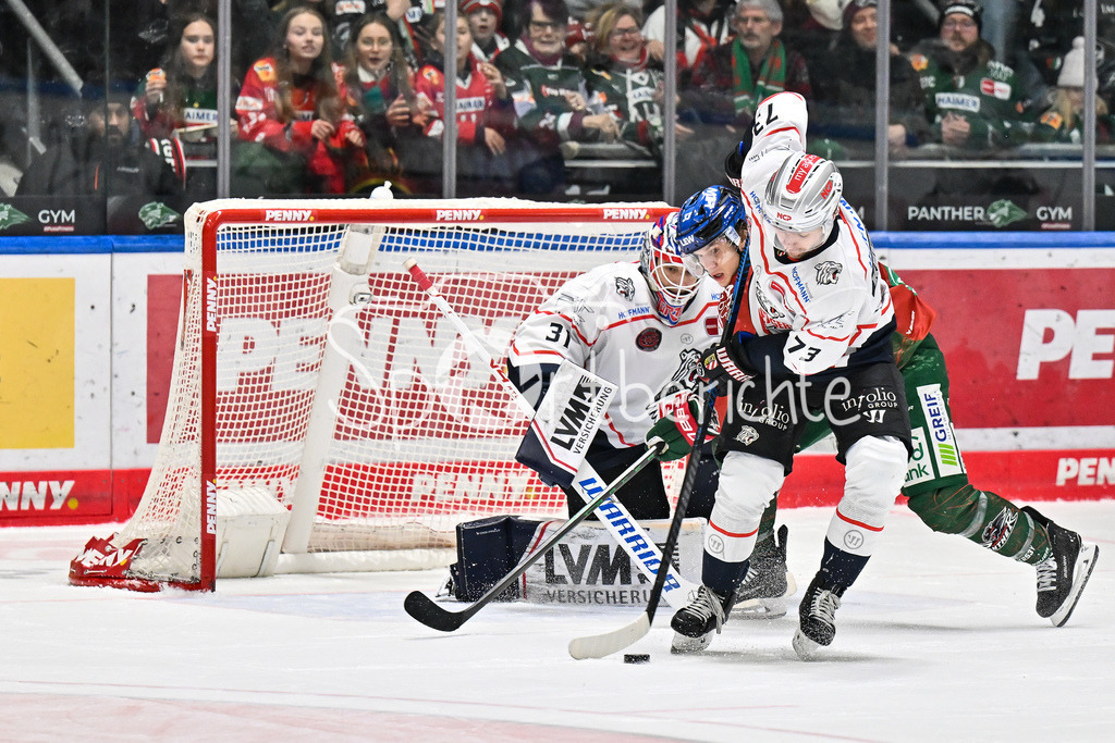 Augsburger Panther - Nürnberg Ice Tigers | AUGSBURG, GERMANY - 23. DECEMBER: v. l. Niklas TREUTLE (Nürnberg Ice Tigers 31), Roma KECHTER (Nürnberg Ice Tigers 73) und Tim WOHLGEMUTH (Augsburger Panther 33) während dem Match zwischen den Augsburger Panthern und den Nürnberg Ice Tigers am 31. Spieltag der Penny DEL im Curt Frenzel Stadion
