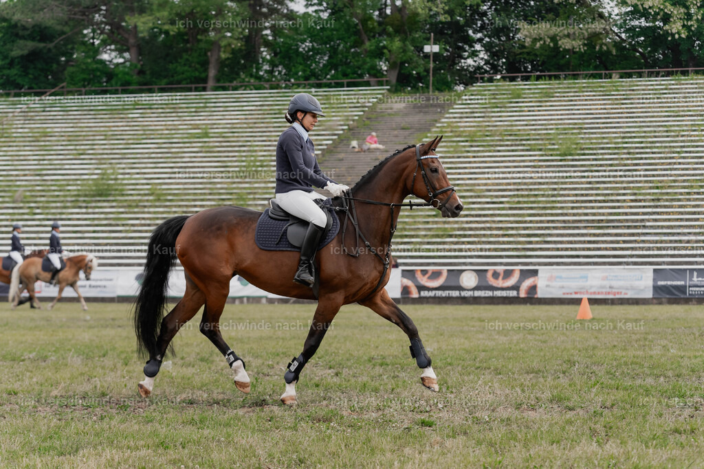 Showprogramm-74 | working equitationturnier fotograf videograf stoibphotography marixx film working equitation deutschland reitsport turnierfotografie eventfotografie equestrian events